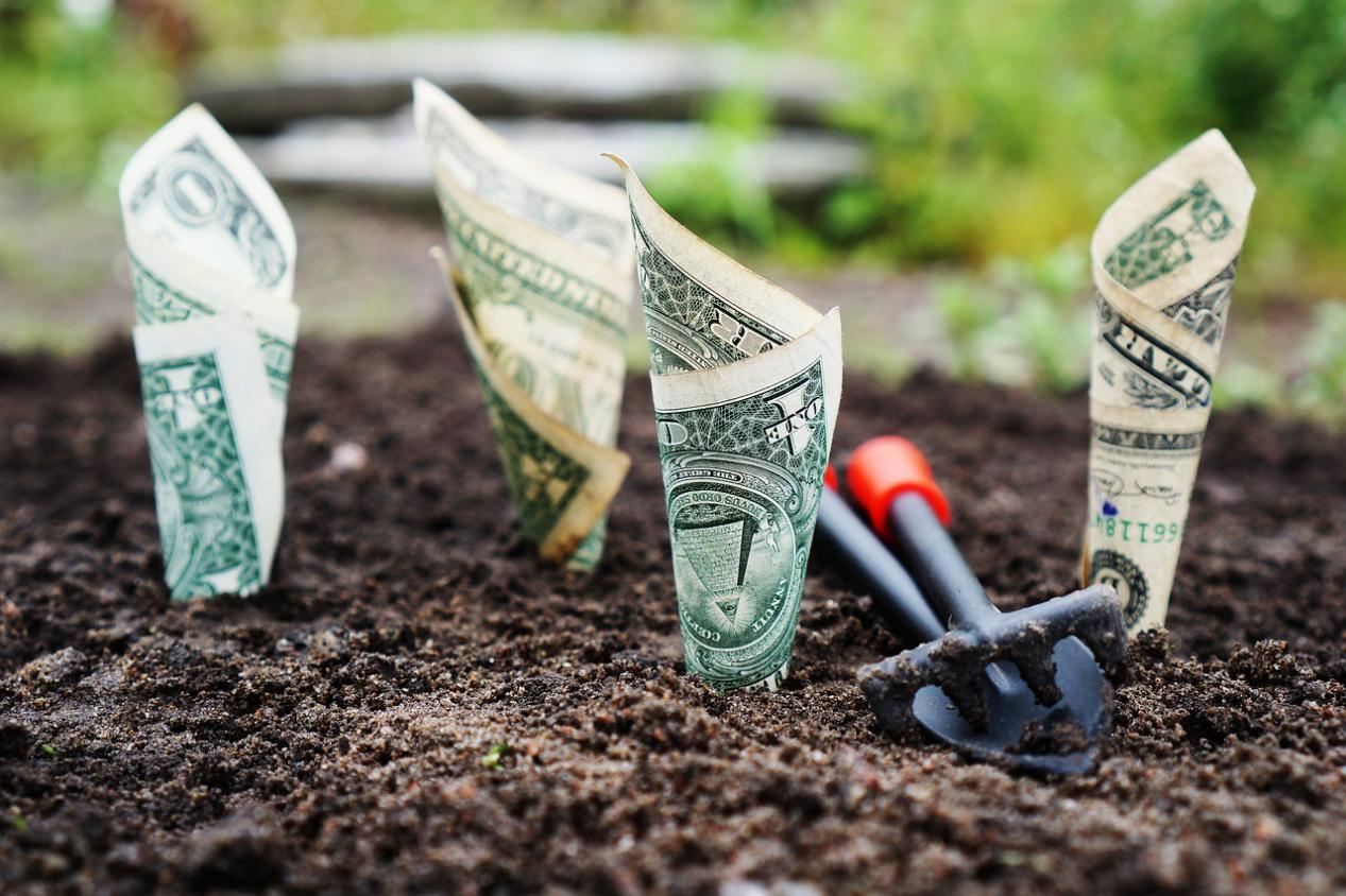 A New Choice for Financial Trading: Why is Ace Markets the World