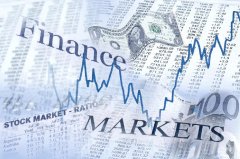 Combating Uncertainty with Certainty: Ace Markets' Professional Commitment