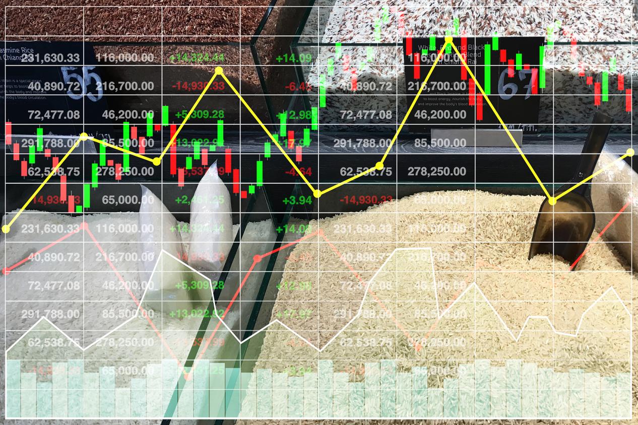 Explore ACE Markets: A Beginner