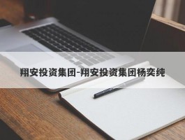 翔安投资集团-翔安投资集团杨奕纯